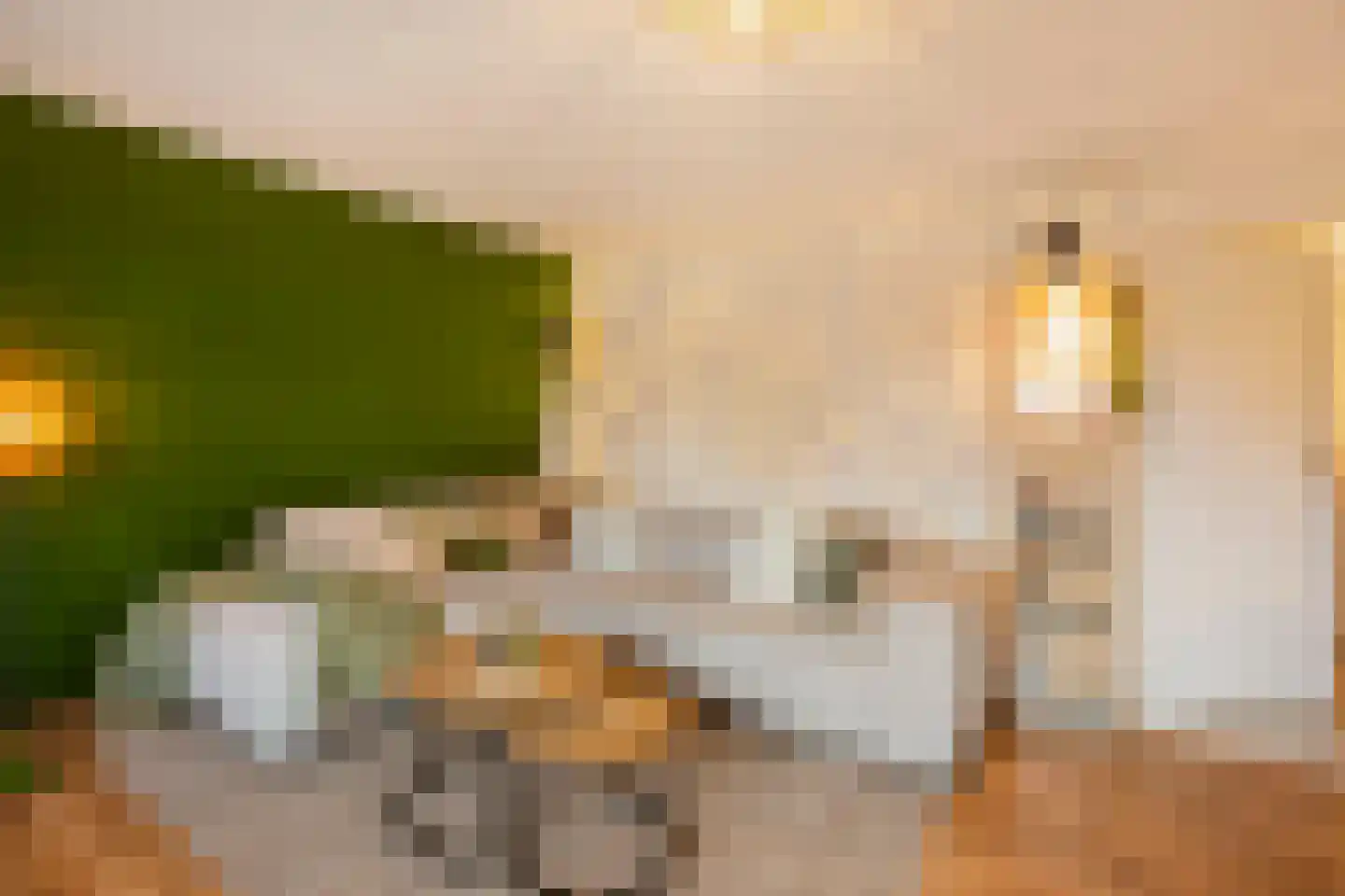 Bessemerlaan 25 Utrecht thumbnail 33
