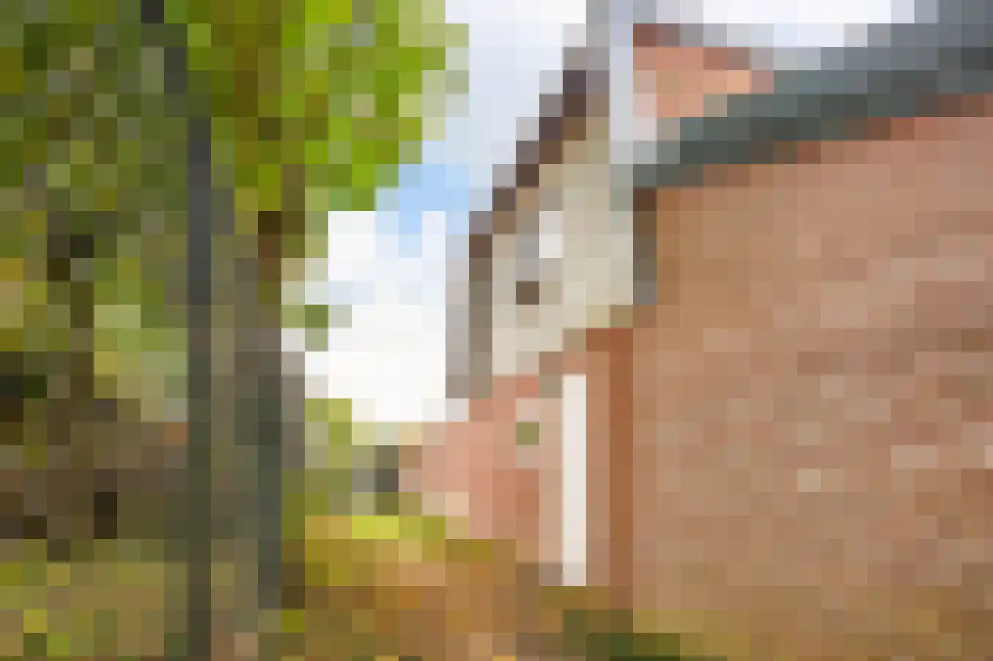 Bessemerlaan 25 Utrecht thumbnail 45