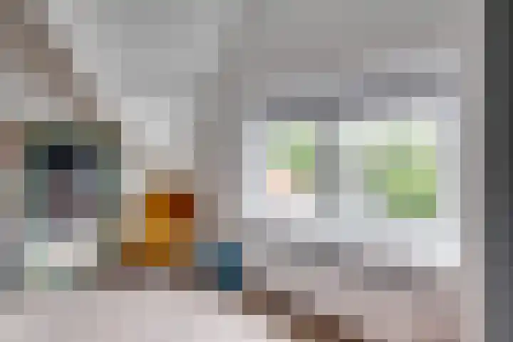 Bessemerlaan 39 Utrecht thumbnail 34