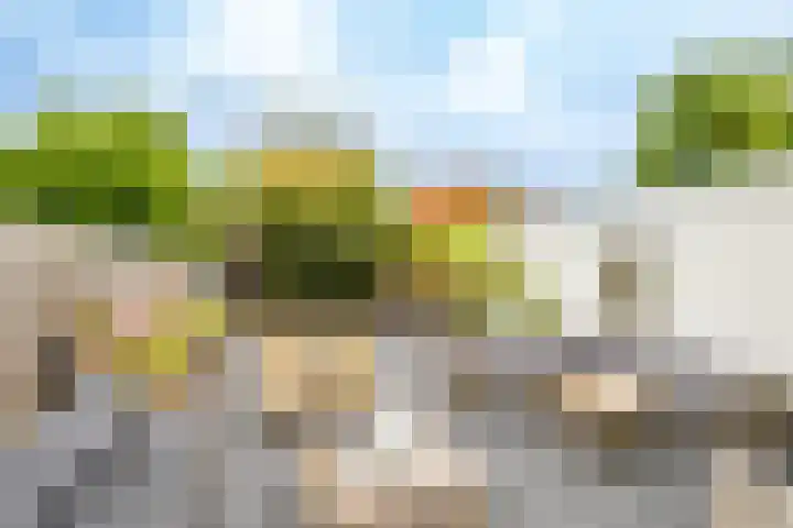 Bessemerlaan 39 Utrecht thumbnail 43