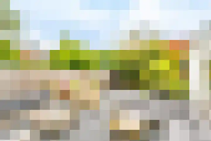 Bessemerlaan 39 Utrecht thumbnail 44