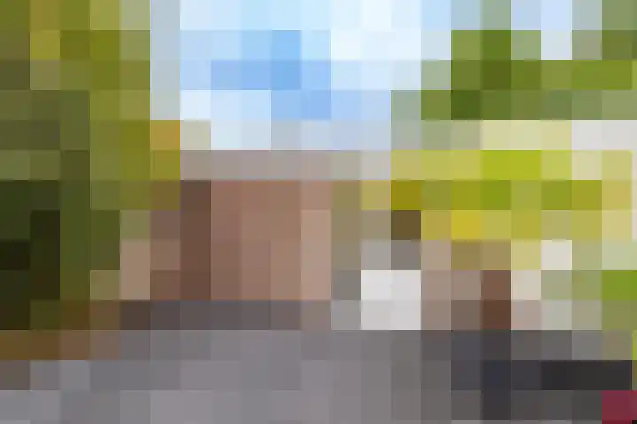 Bessemerlaan 39 Utrecht thumbnail 46
