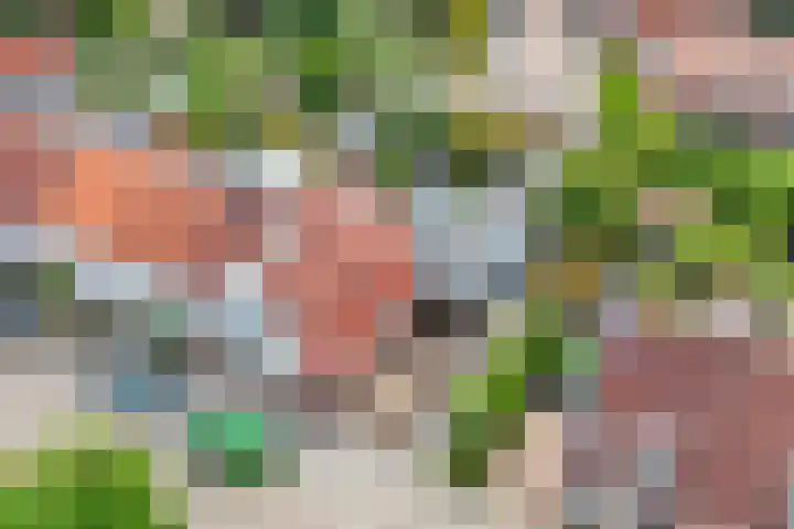 Bessemerlaan 39 Utrecht thumbnail 53