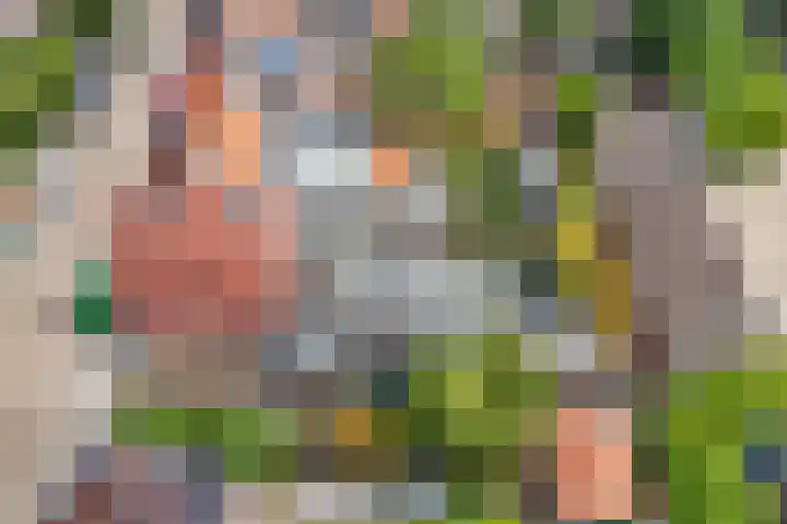 Bessemerlaan 39 Utrecht thumbnail 55