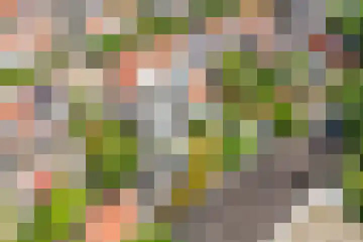 Bessemerlaan 39 Utrecht thumbnail 58