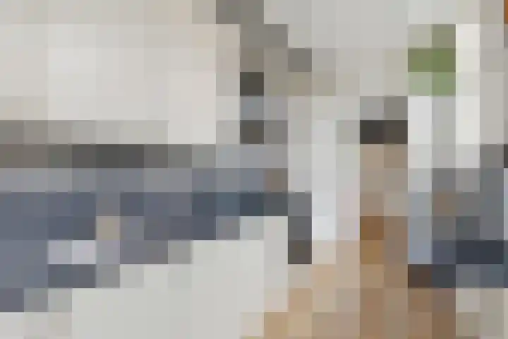 Bessemerlaan 45 Utrecht thumbnail 20