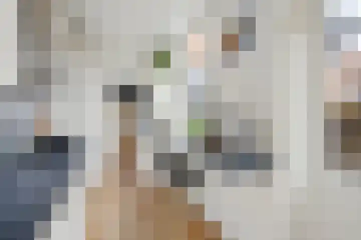 Bessemerlaan 45 Utrecht thumbnail 21