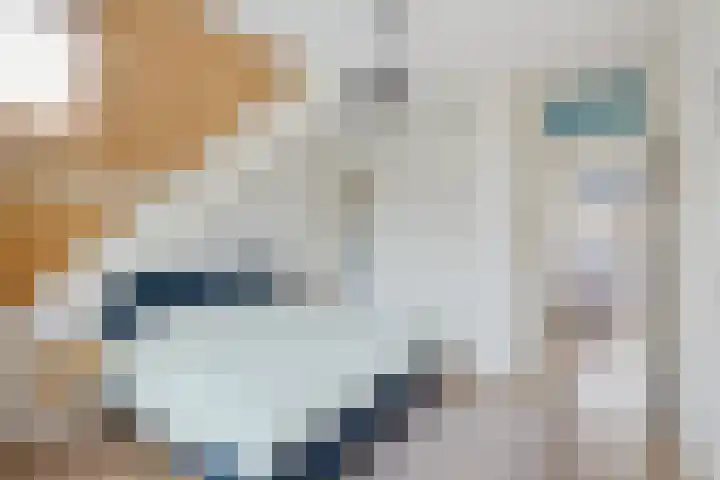 Bessemerlaan 45 Utrecht thumbnail 28