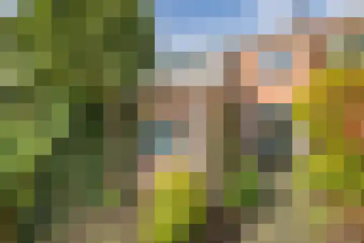 Bessemerlaan 45 Utrecht thumbnail 35