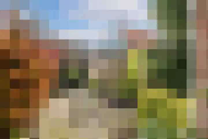 Bessemerlaan 45 Utrecht thumbnail 39