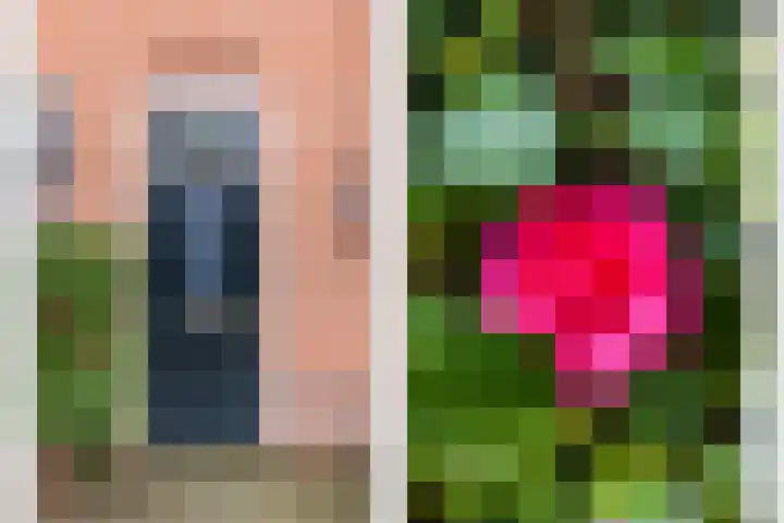 Bessemerlaan 45 Utrecht thumbnail 4