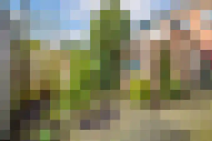 Bessemerlaan 45 Utrecht thumbnail 40