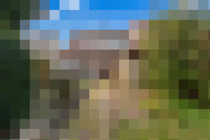 Bessemerlaan 48 Utrecht thumbnail 20