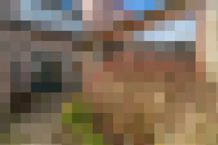 Bessemerlaan 48 Utrecht thumbnail 22