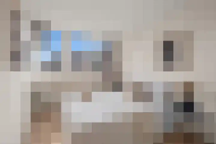 Bessemerlaan 48 Utrecht thumbnail 27