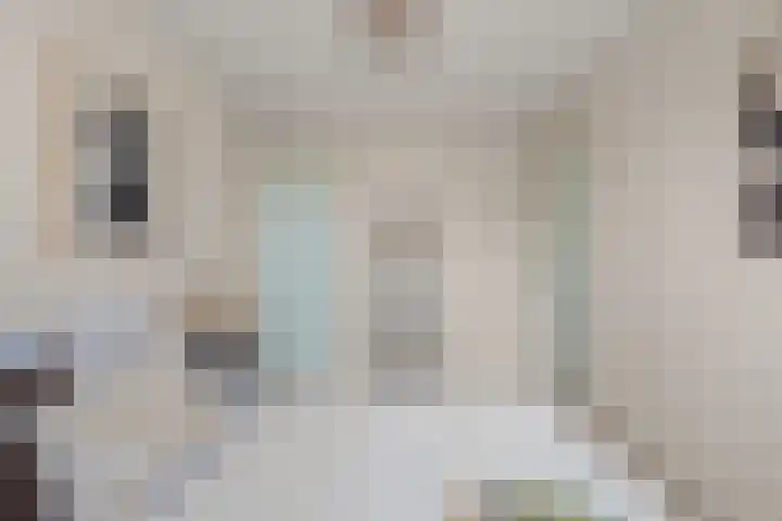 Bessemerlaan 48 Utrecht thumbnail 28