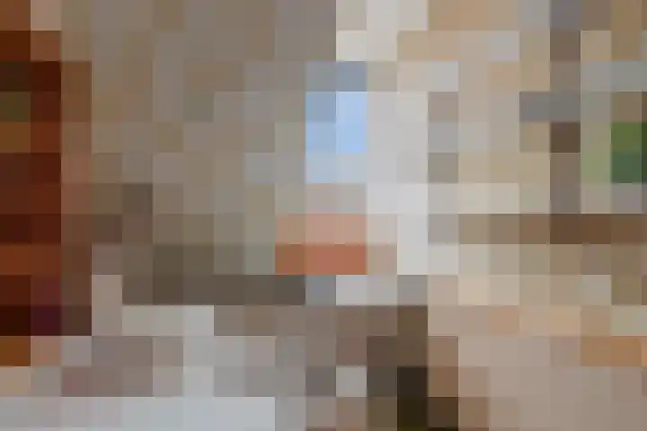 Bessemerlaan 48 Utrecht thumbnail 30