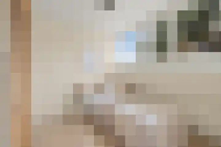 Bessemerlaan 48 Utrecht thumbnail 32