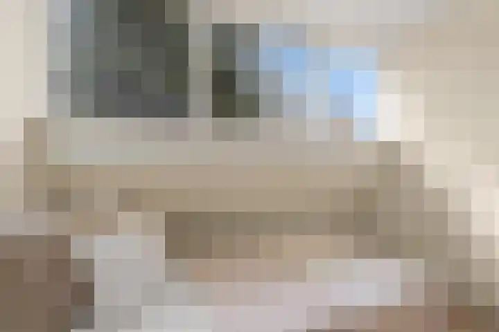 Bessemerlaan 48 Utrecht thumbnail 34