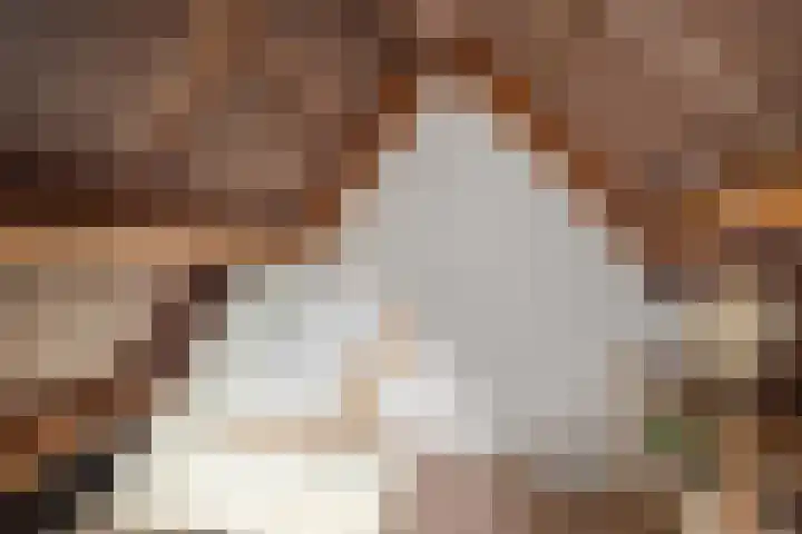Bessemerlaan 48 Utrecht thumbnail 35
