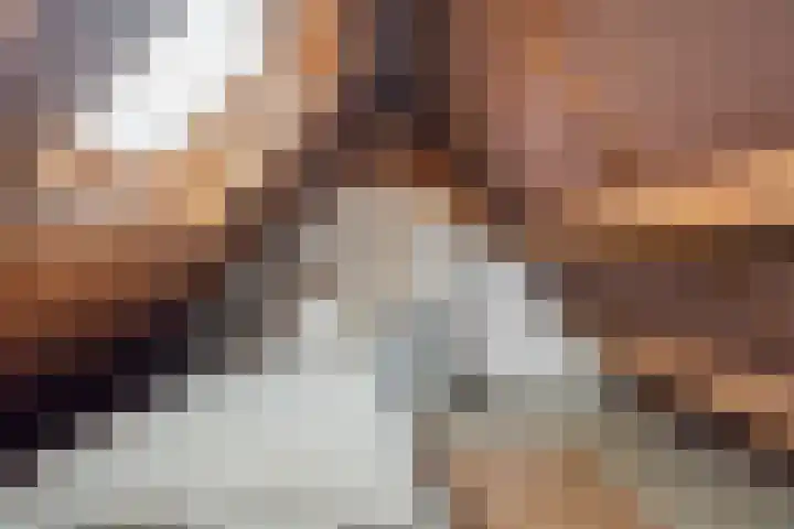 Bessemerlaan 48 Utrecht thumbnail 36
