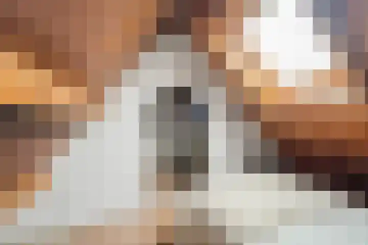 Bessemerlaan 48 Utrecht thumbnail 37