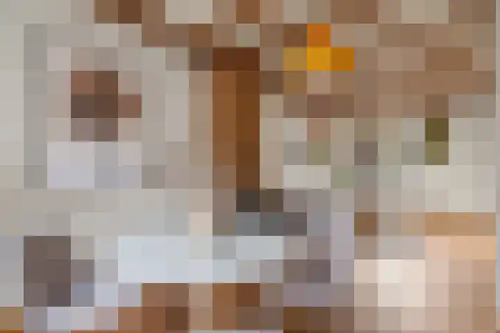 Bessemerlaan 48 Utrecht thumbnail 8