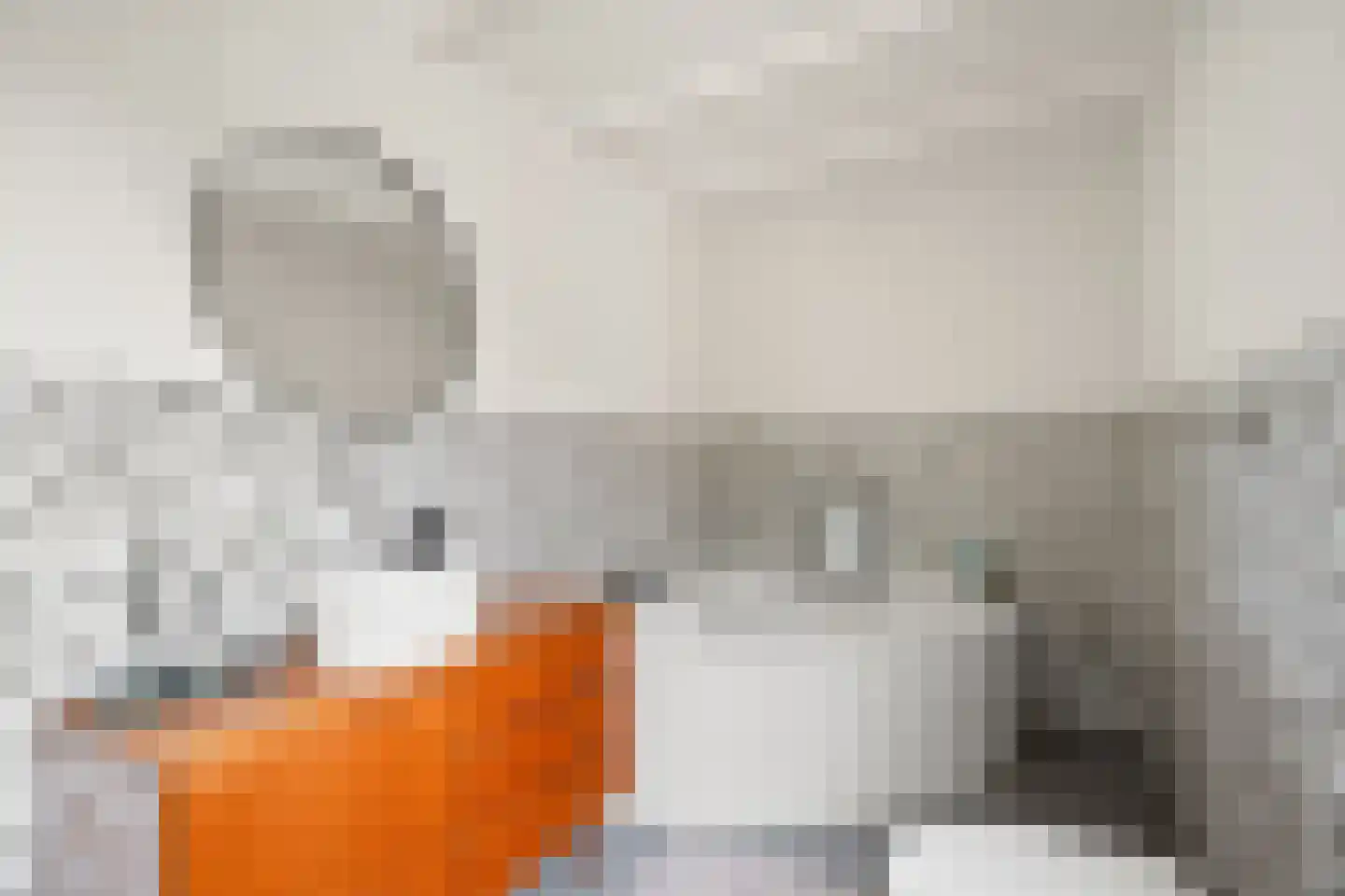 Bessemerlaan 51 Utrecht thumbnail 46