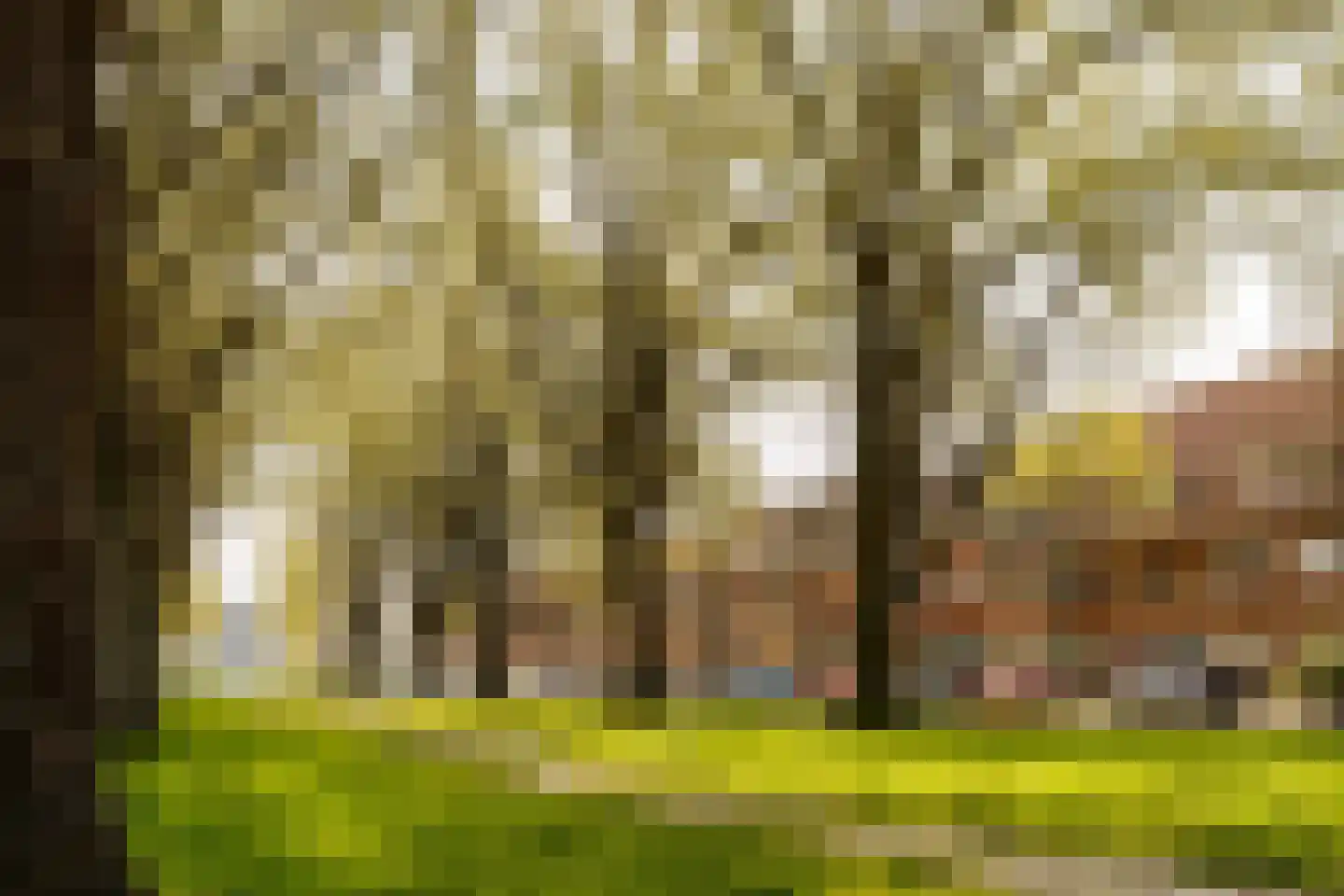 Bessemerlaan 51 Utrecht thumbnail 53