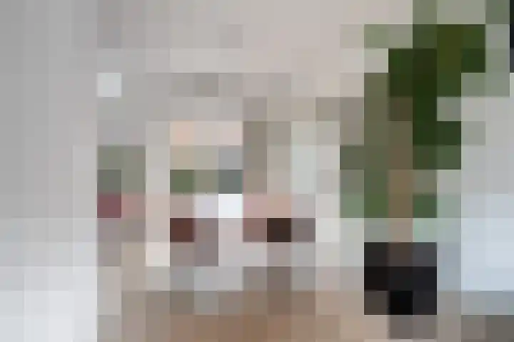 Bessemerlaan 72 Utrecht thumbnail 12
