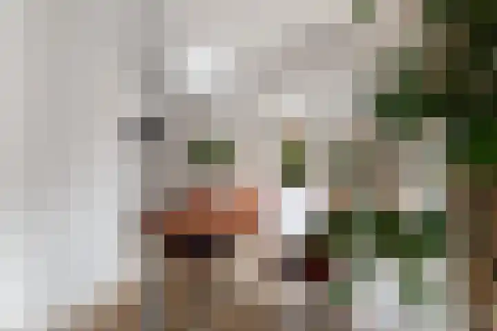 Bessemerlaan 72 Utrecht thumbnail 13
