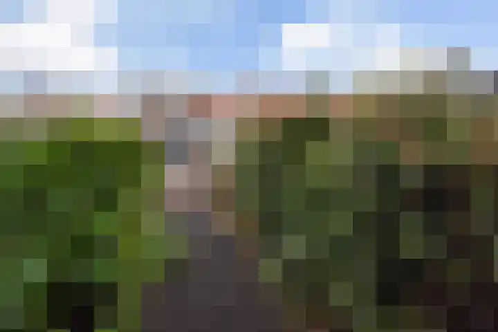 Bessemerlaan 72 Utrecht thumbnail 14