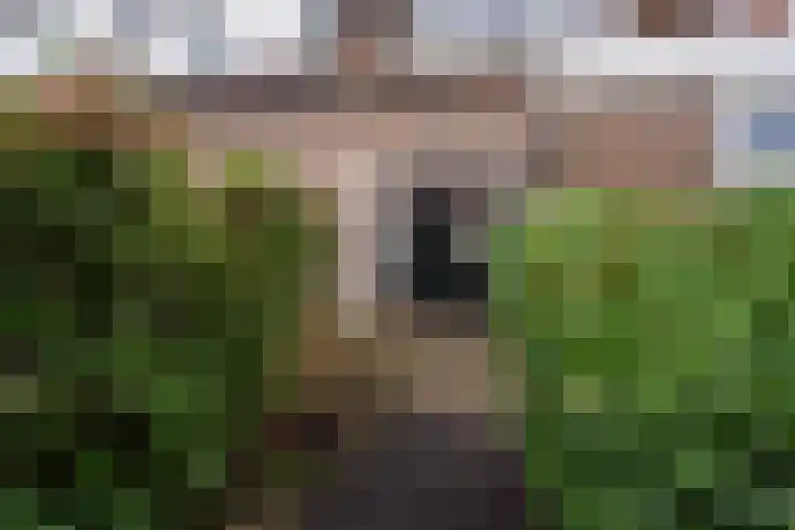 Bessemerlaan 72 Utrecht thumbnail 21