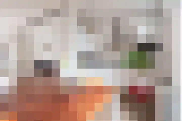 Bessemerlaan 72 Utrecht thumbnail 23