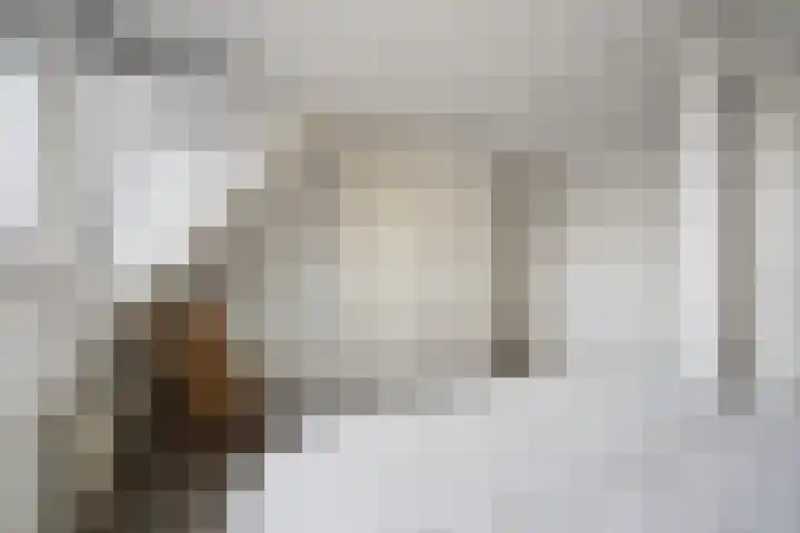 Bessemerlaan 72 Utrecht thumbnail 34