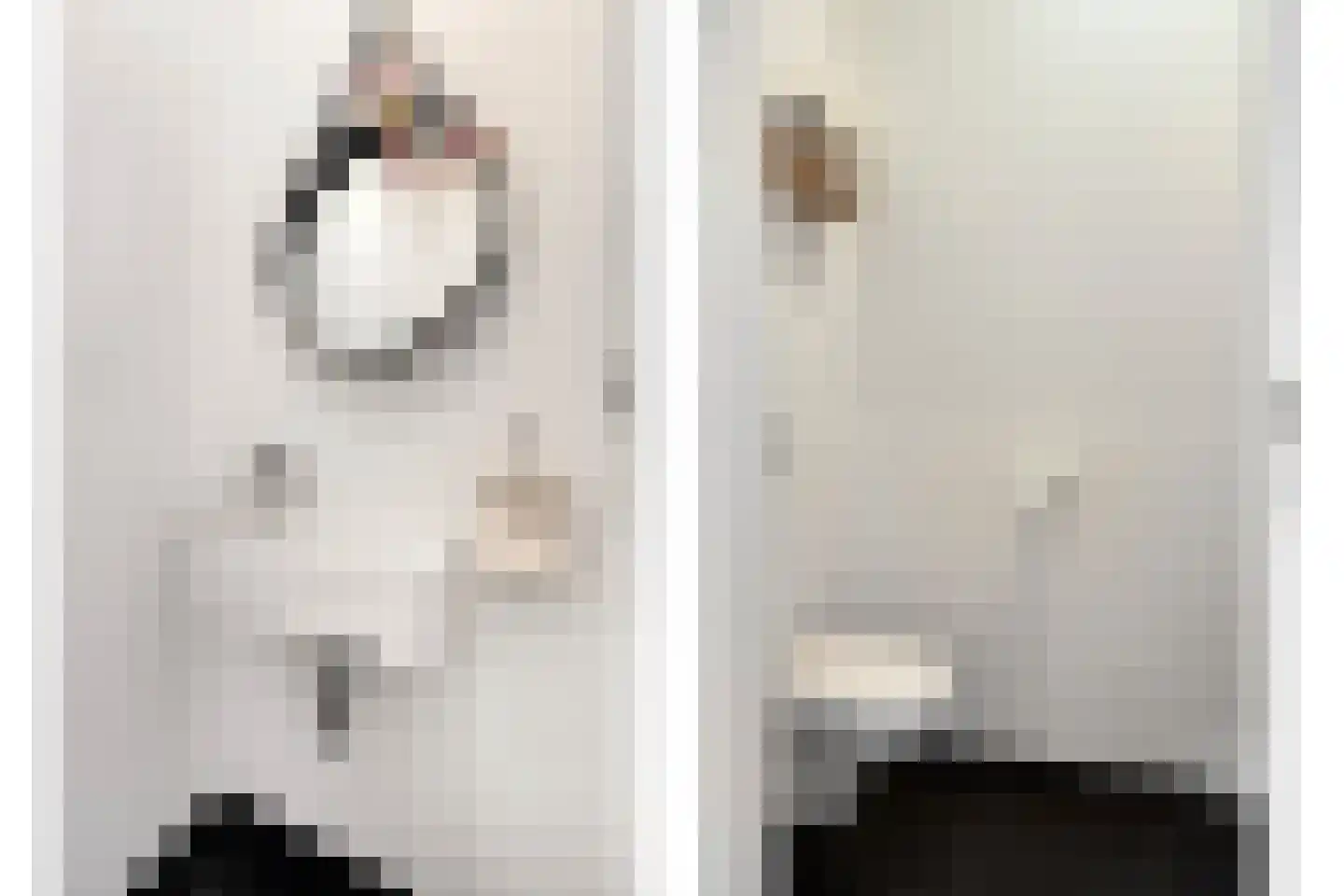 Bessemerstraat 1 Oudeschoot thumbnail 18