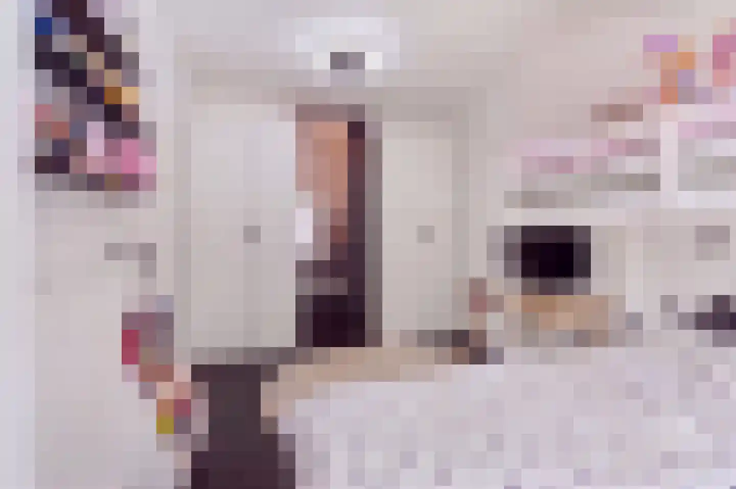 Bessemerstraat 1 Oudeschoot thumbnail 20