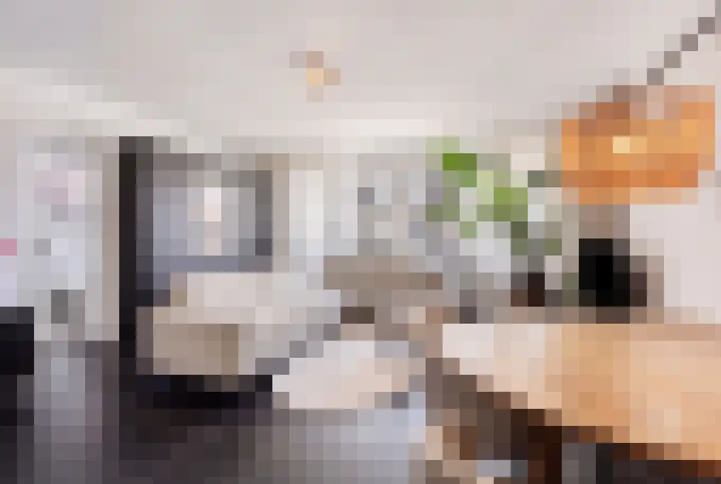 Bessemerstraat 1 Oudeschoot thumbnail 5