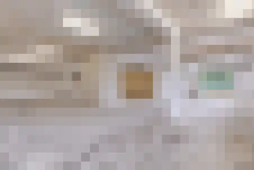 Bessemerstraat 316 3620 Amsterdam thumbnail 31