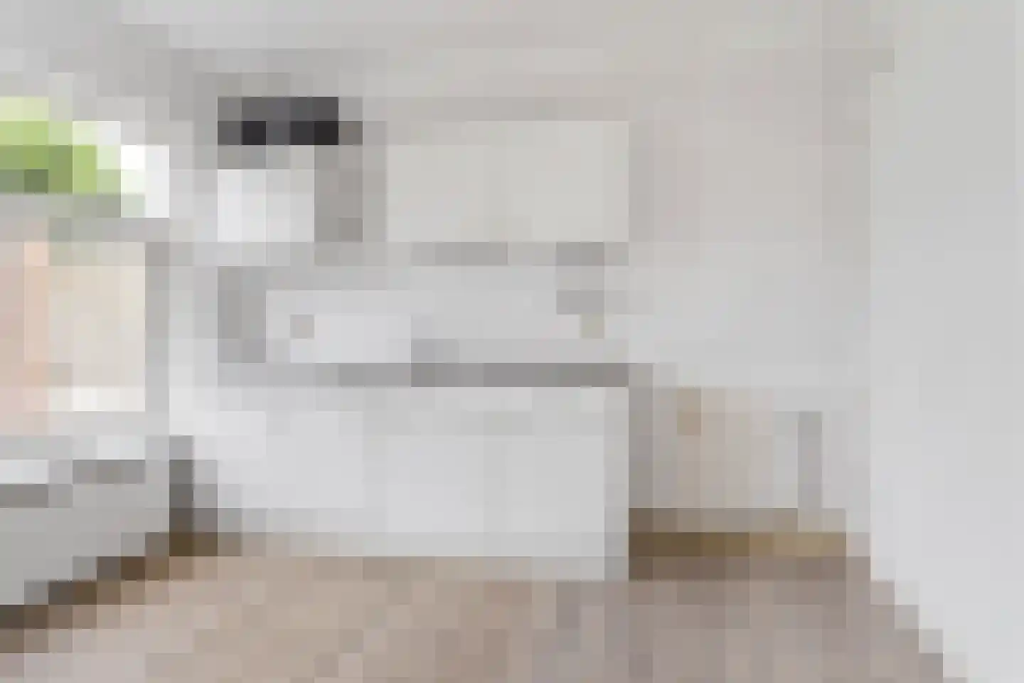 Bessemerstraat 9 Oudeschoot thumbnail 11