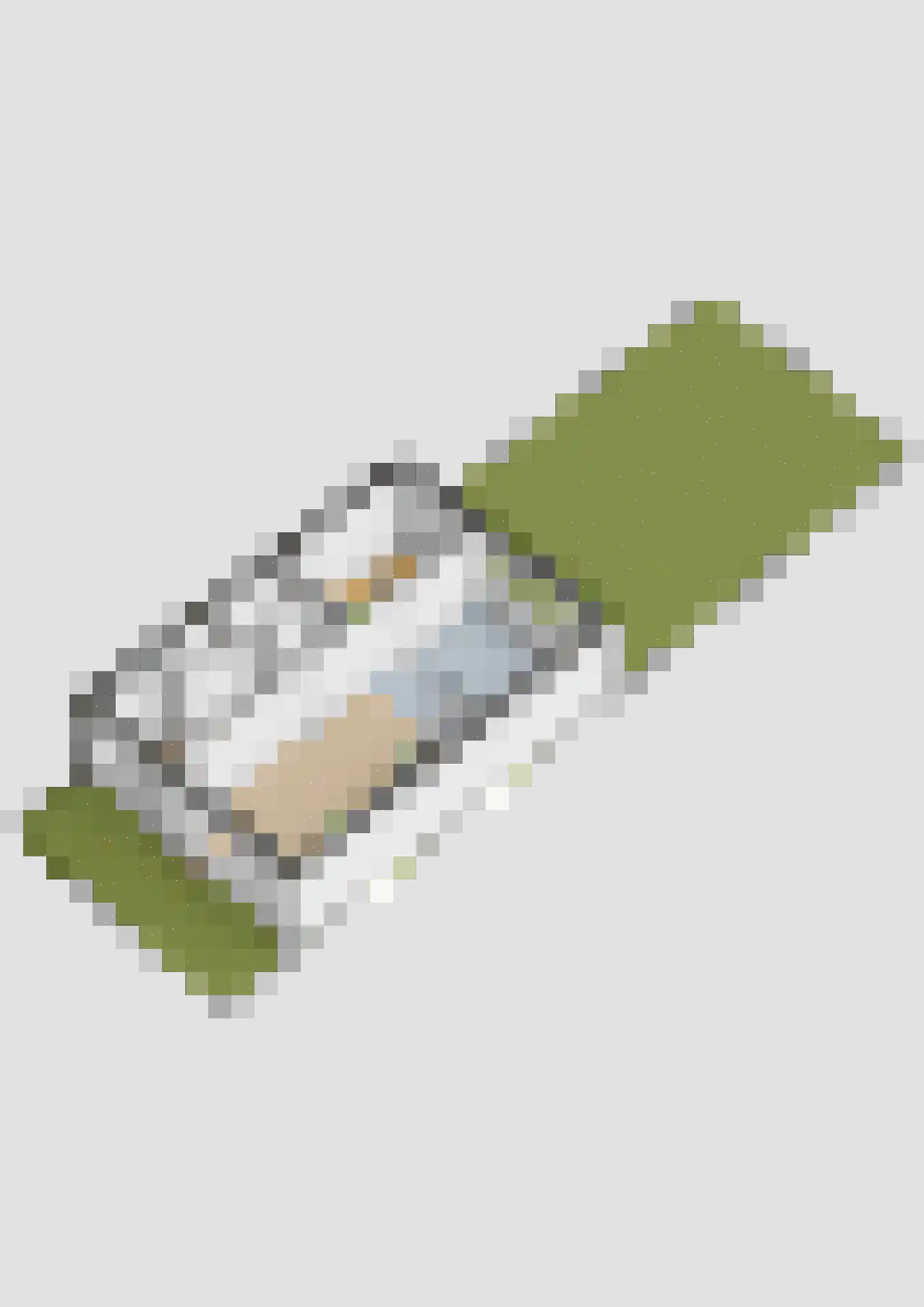 Bessemerstraat 9 Oudeschoot thumbnail 35
