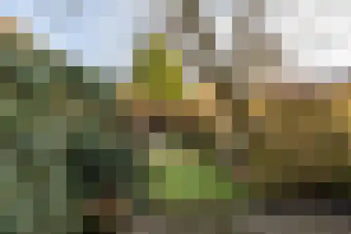 Bessemoerstraat 17 Groningen thumbnail 4