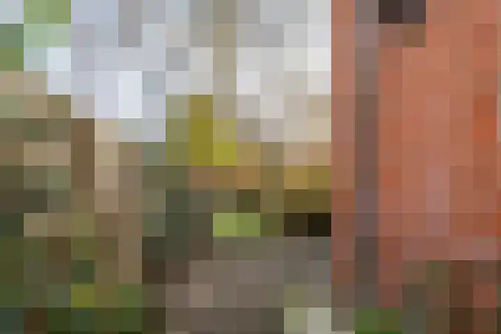Bessemoerstraat 17 Groningen thumbnail 40