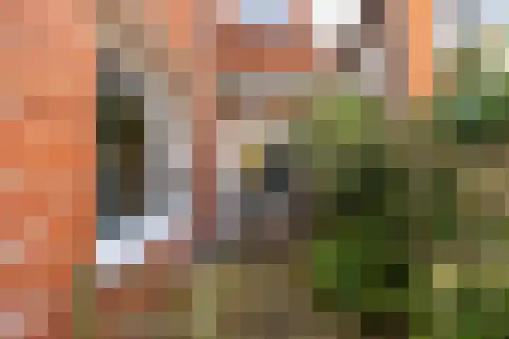 Bessemoerstraat 17 Groningen thumbnail 43