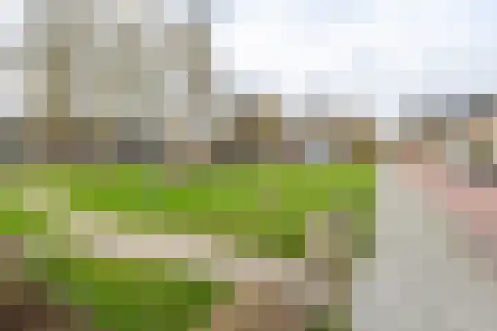 Bessemoerstraat 17 Groningen thumbnail 49