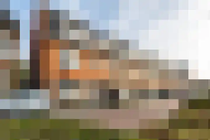 Bessemoerstraat 17 Groningen thumbnail 7