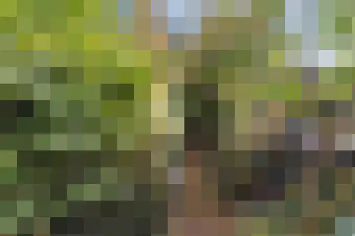 Bessendreef 5 Arkel thumbnail 13