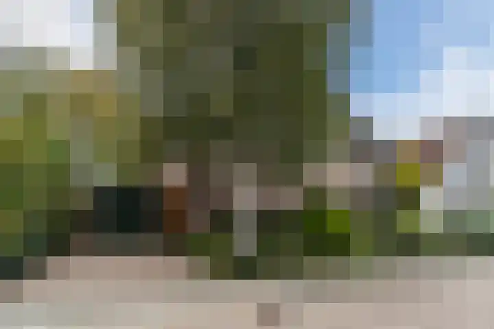 Bessendreef 5 Arkel thumbnail 16