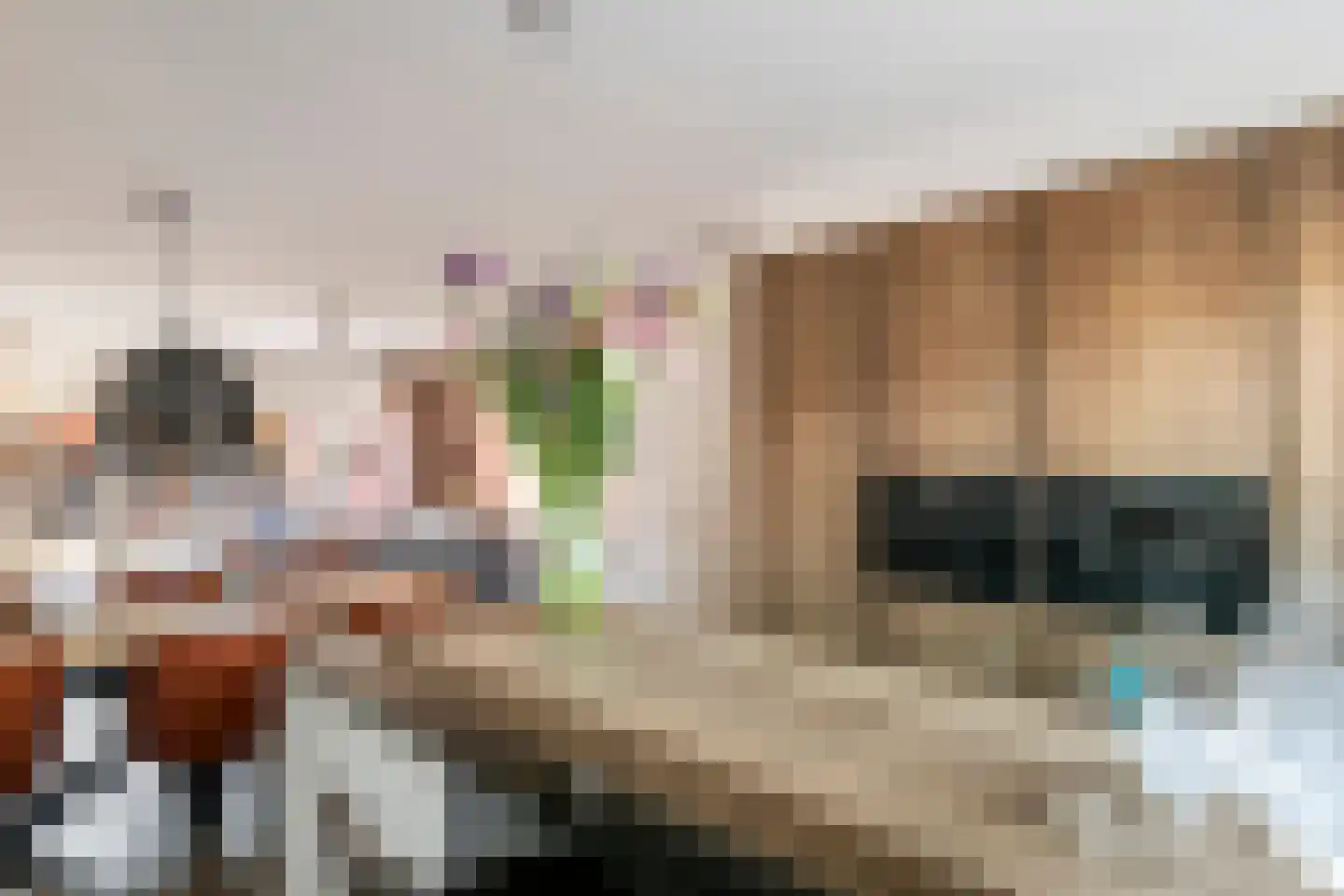 Bessendreef 8 Asperen thumbnail 16