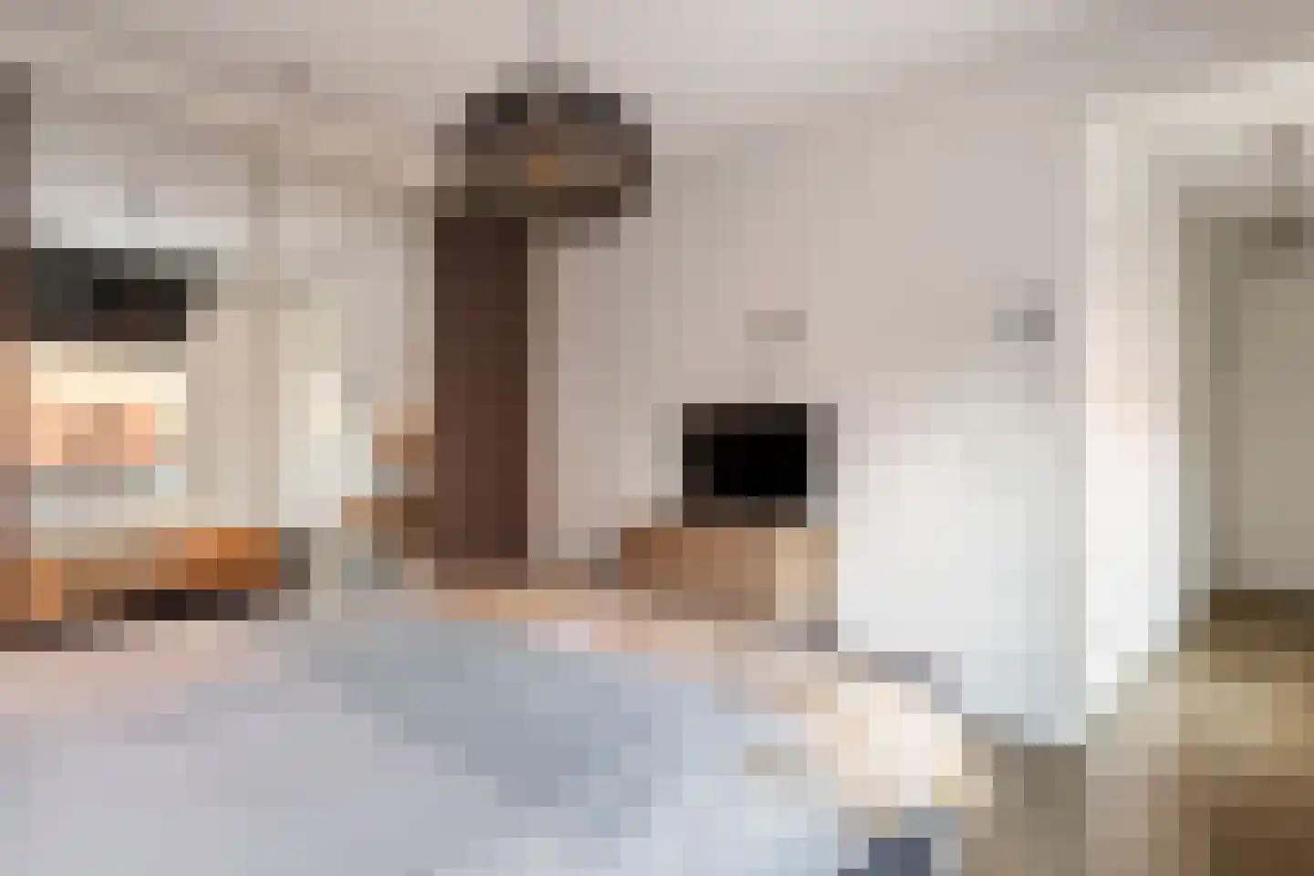 Bessendreef 8 Asperen thumbnail 24